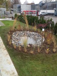 IMG-20150521-WA0006